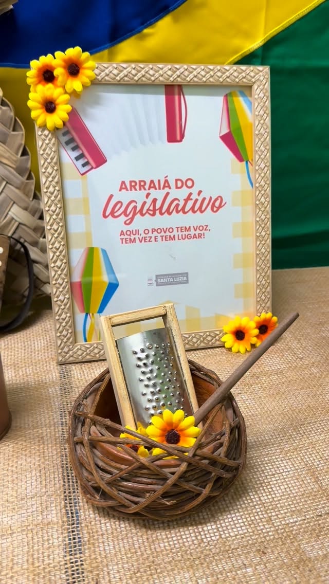 Confira alguns registros da última sessão ordinária da Câmara Municipal de Santa Luzia.