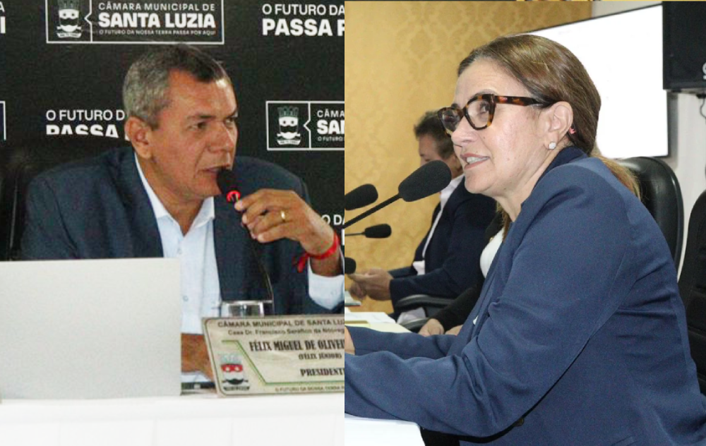 Vereadores aprovam requerimentos que reforçam o compromisso com a causa animal, a proteção às mulheres e a revitalização urbana do município